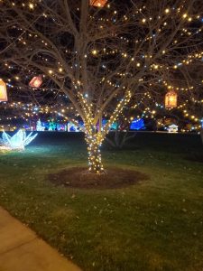 Veterans United’s holiday lights display opens tonight in Columbia