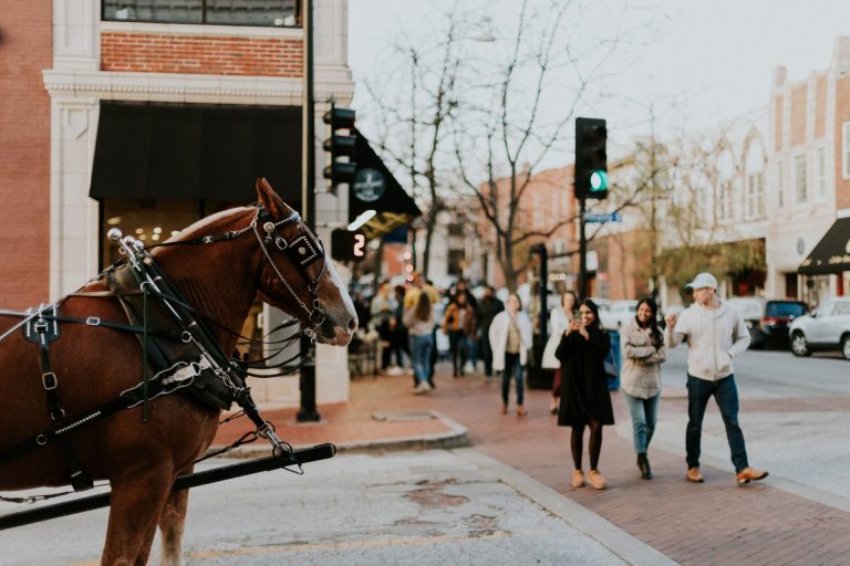 horsedistrict 17 (003)