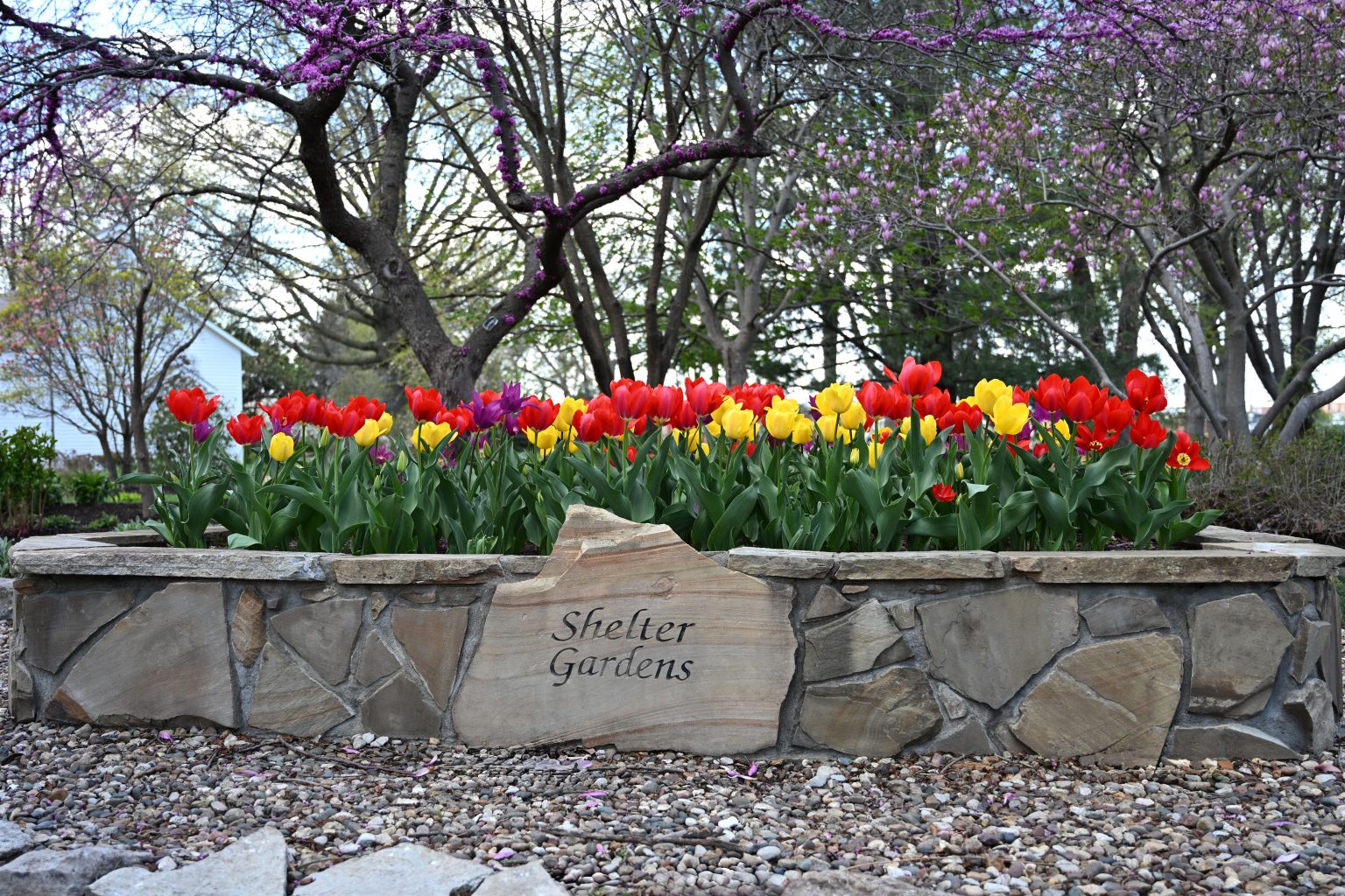 shelter gardens (002)