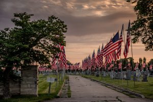 avenue of flags
